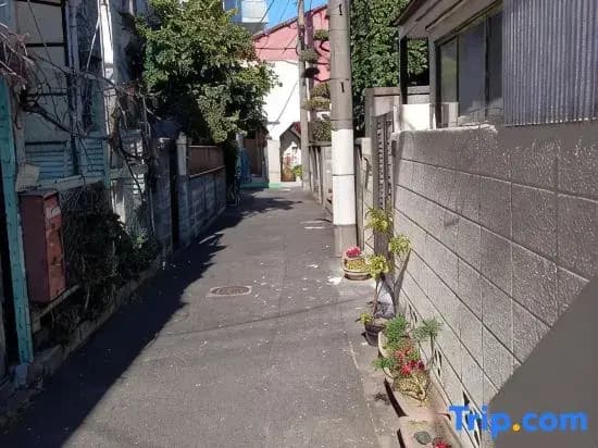 Tokyo downtown - photo 26
