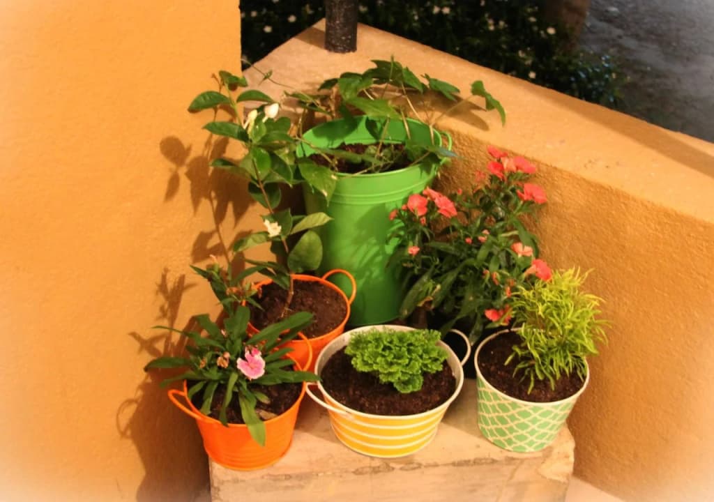 Saladura Villa - photo 10