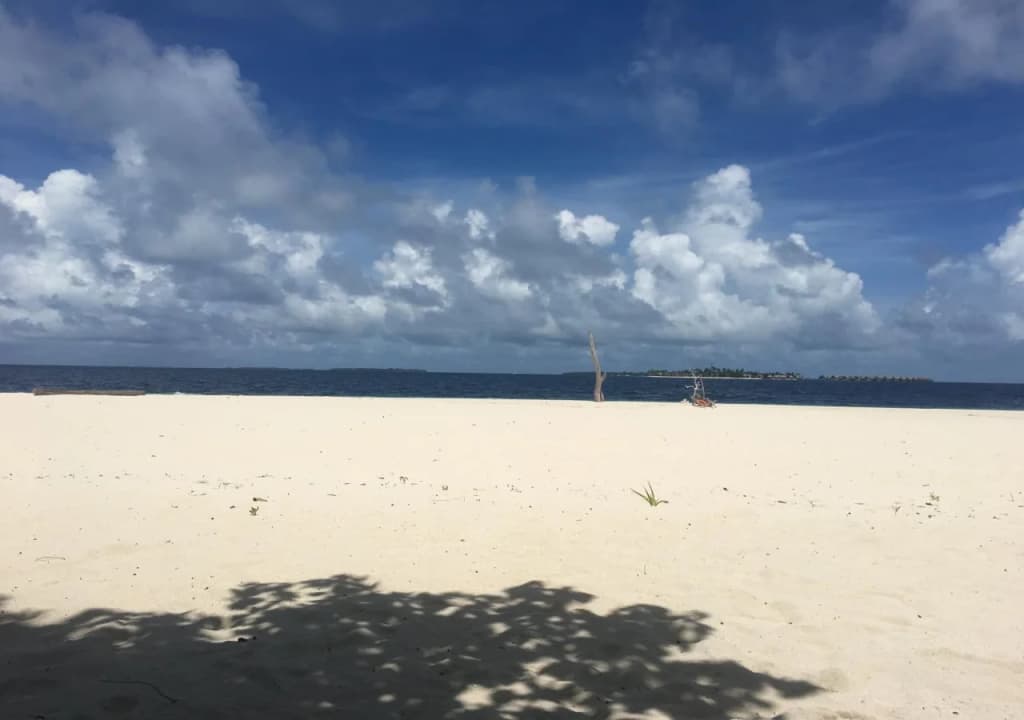 Ithaa Inn Kamadhoo Hotel - photo 9