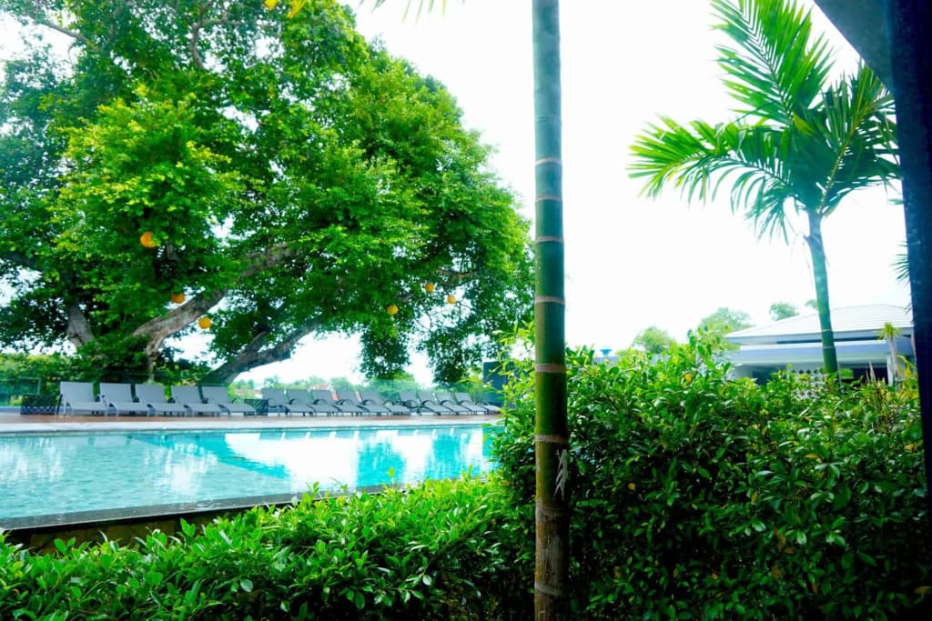 Antiya Hotel Phuket - photo 31