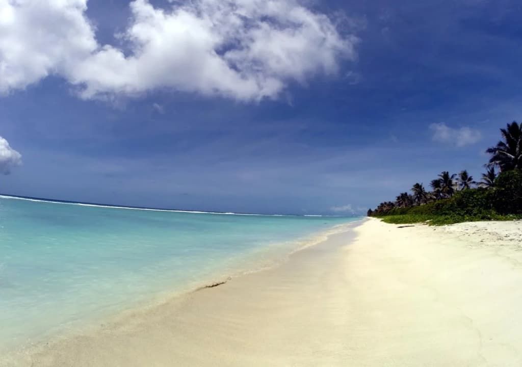 Airport Beach Hotel - photo 15