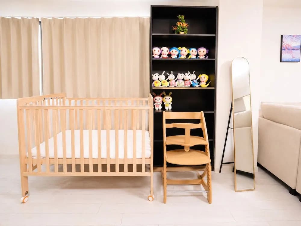 Higobashi AFP Luxury Apartment - photo 27