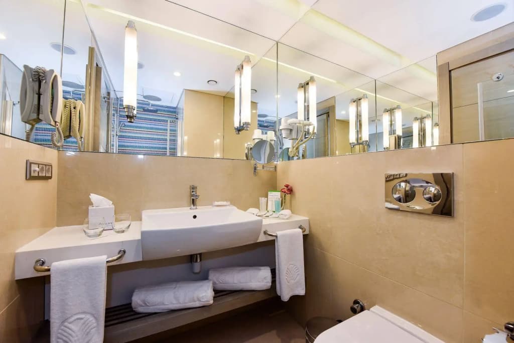Burgu Arjaan by Rotana Hotel - photo 16