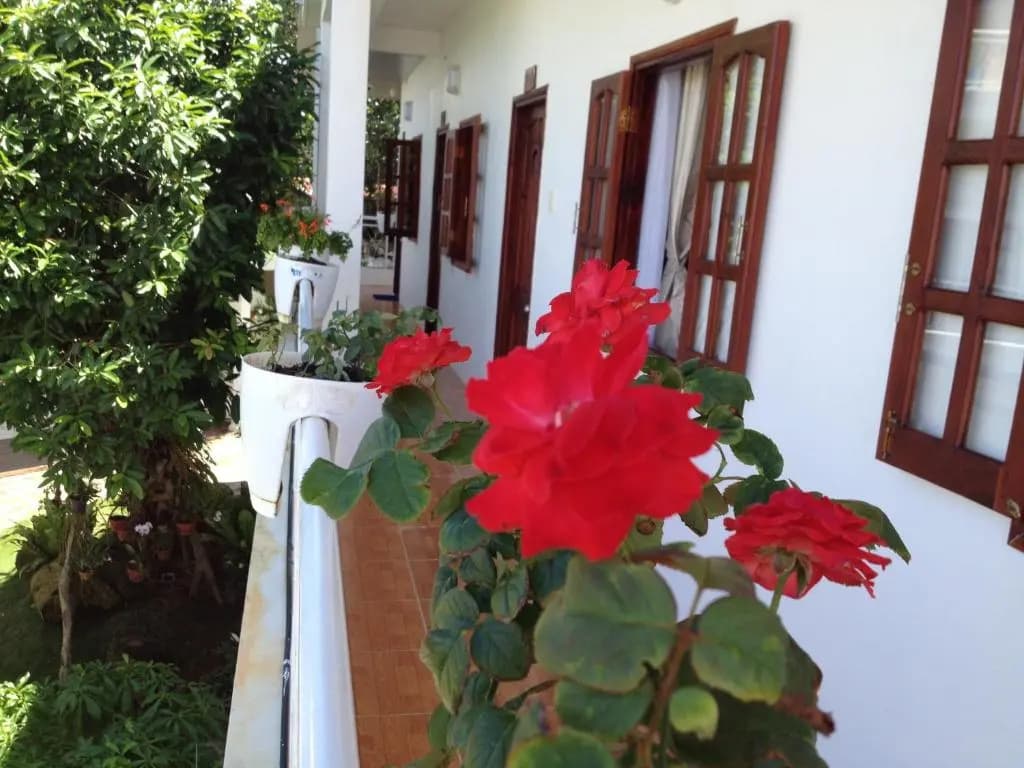 Suncosy Central Resort - photo 21