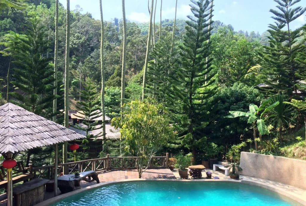 Fig Tree Hills Resort - photo 11
