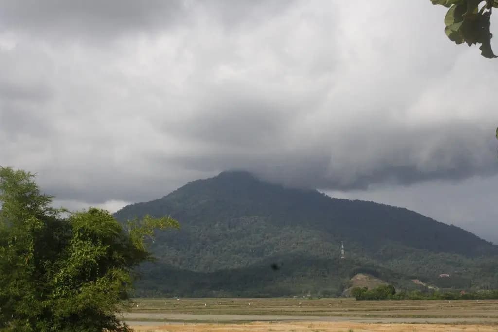 Malinja Homestay - photo 14