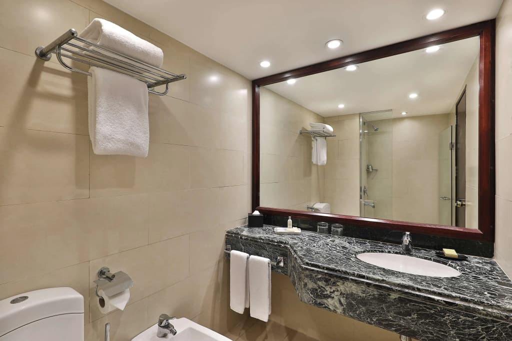 Hilton Cairo Heliopolis - photo 8