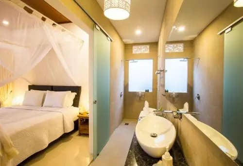 Deluxe Kamboja Villa - photo 8