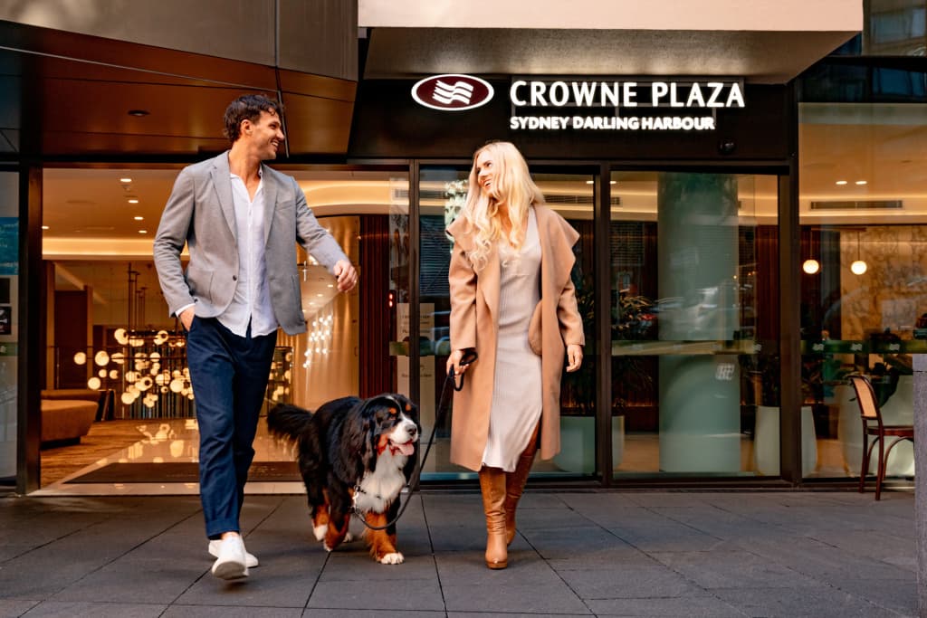 Crowne Plaza Sydney Darling Harbour by IHG - photo 35