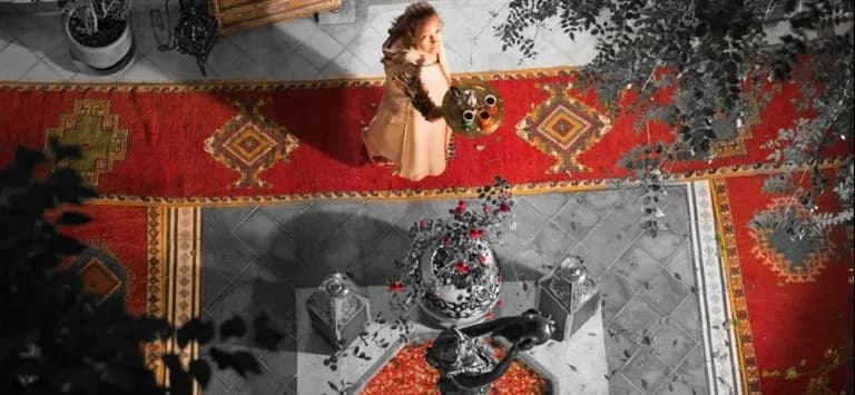 Dar Eliane - photo 19