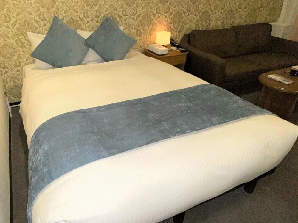 Roppongi Plaza Hotel - photo 16
