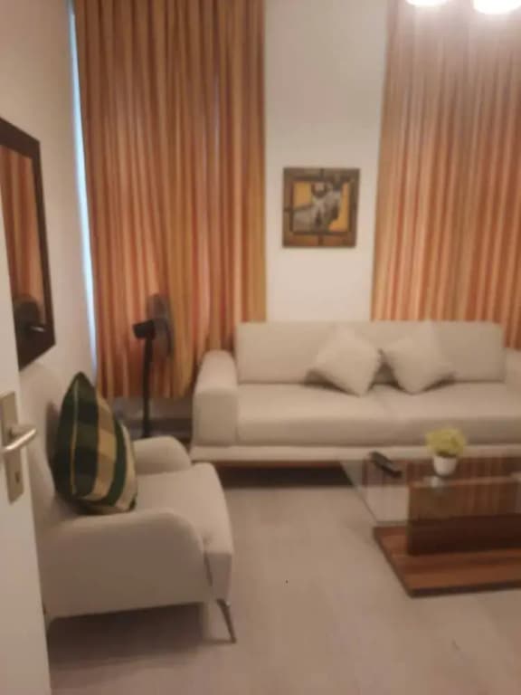 Budget 2BR Apartment For Extended Stay - photo 19