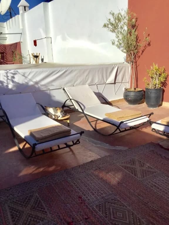 Riad Loudaya - photo 21