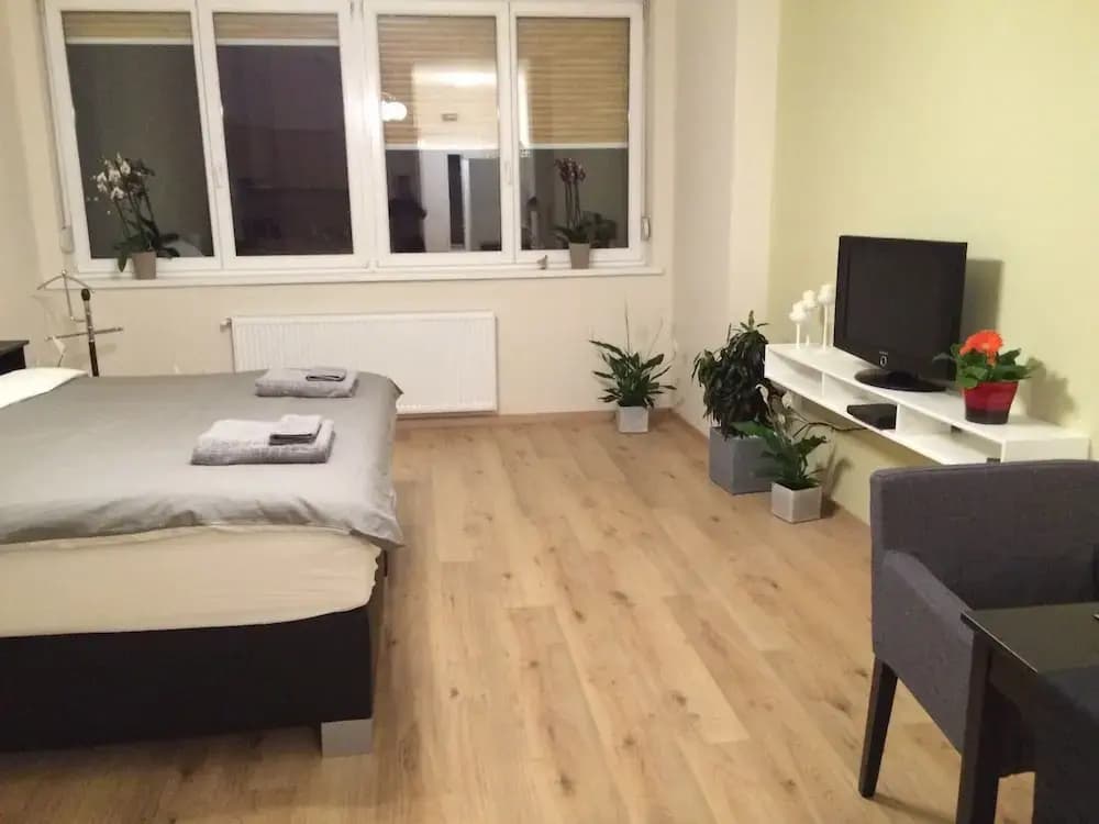Riverview Apartment Budapest - photo 8