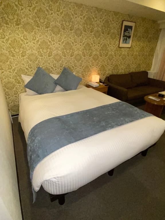 Roppongi Plaza Hotel - photo 20