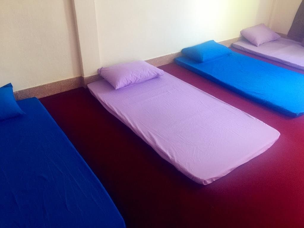 Small Elephant Hostel - photo 1
