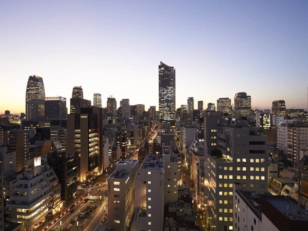 Sotetsu Fresa Inn Shimbashi-Karasumoriguchi - photo 19