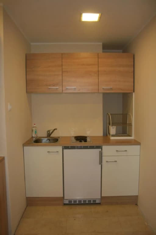 Vienna City Loft Apartment - photo 3