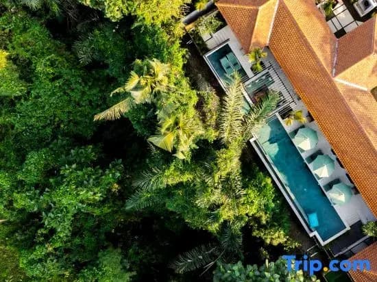 Villa Mamily by BaliSuperHost - photo 5