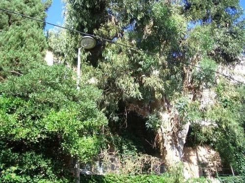 Villa Rima - photo 12