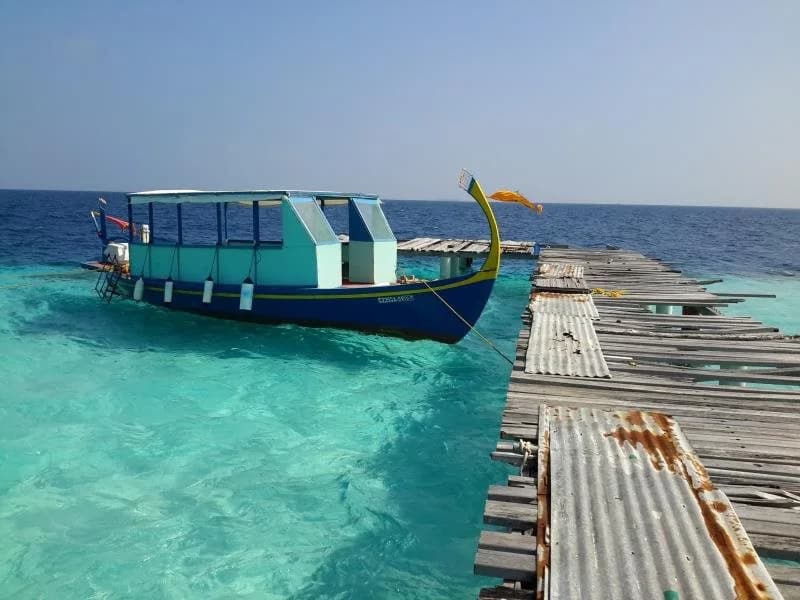 Keyodhoo Manta View guest house - photo 7