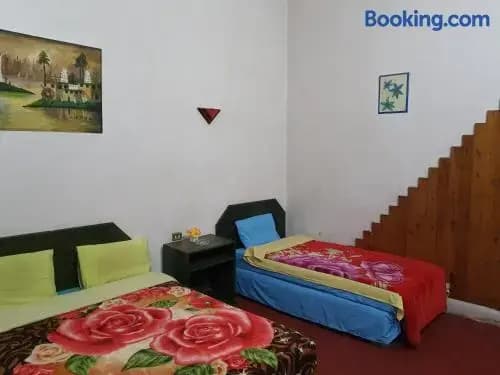 African House Hostel - photo 5