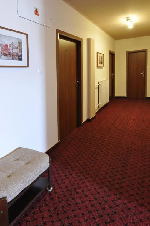 Hotel Wilhelm - photo 25