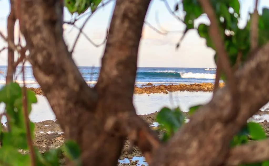 Just Surf and Dive Villa - photo 9