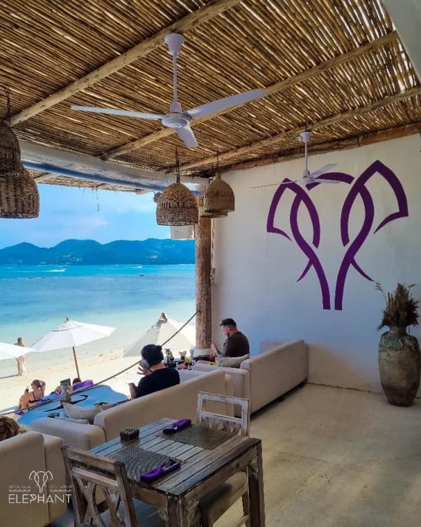 Elephant Beach Club & Resort Samui - photo 37