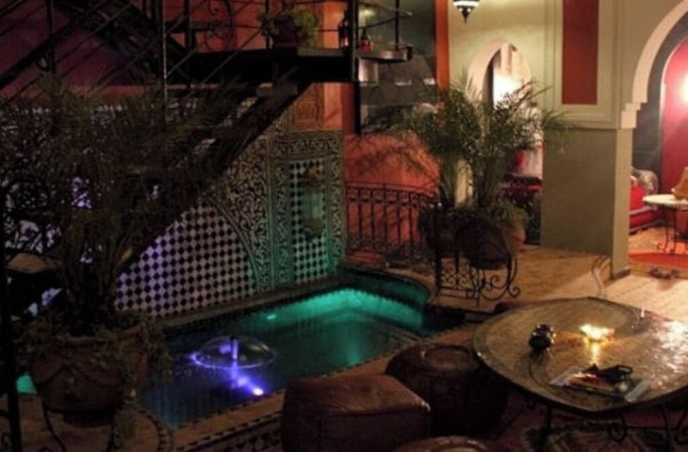 Riad Kantarell - photo 34