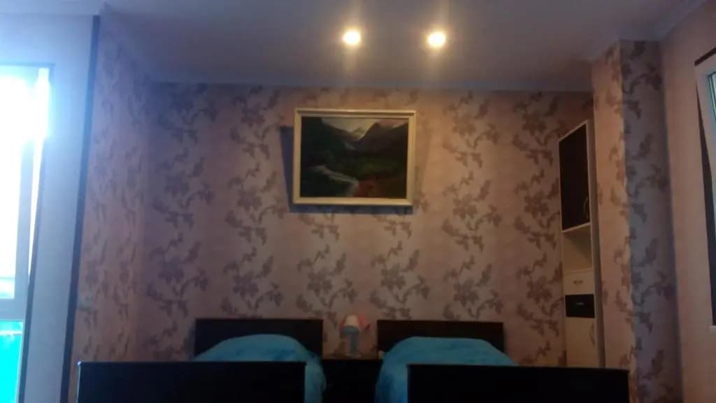 Dadu's Apartment - photo 4