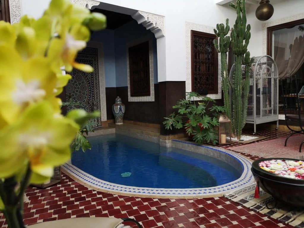 Riad Charme d'Orient - Adults Only - photo 15