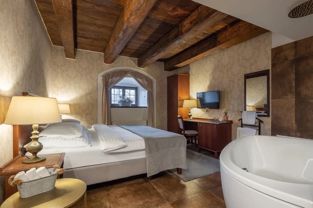 Pytloun Chateau Hotel Ctěnice - photo 6