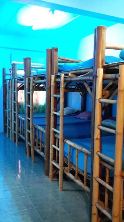 Bamboo Hostel - photo 20