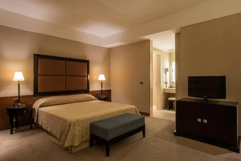 Ergife Palace Hotel - photo 7