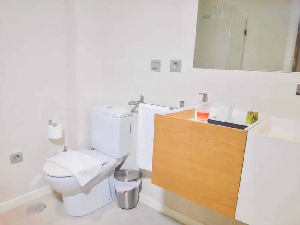 Apartamentos Escultor Madrid - photo 6