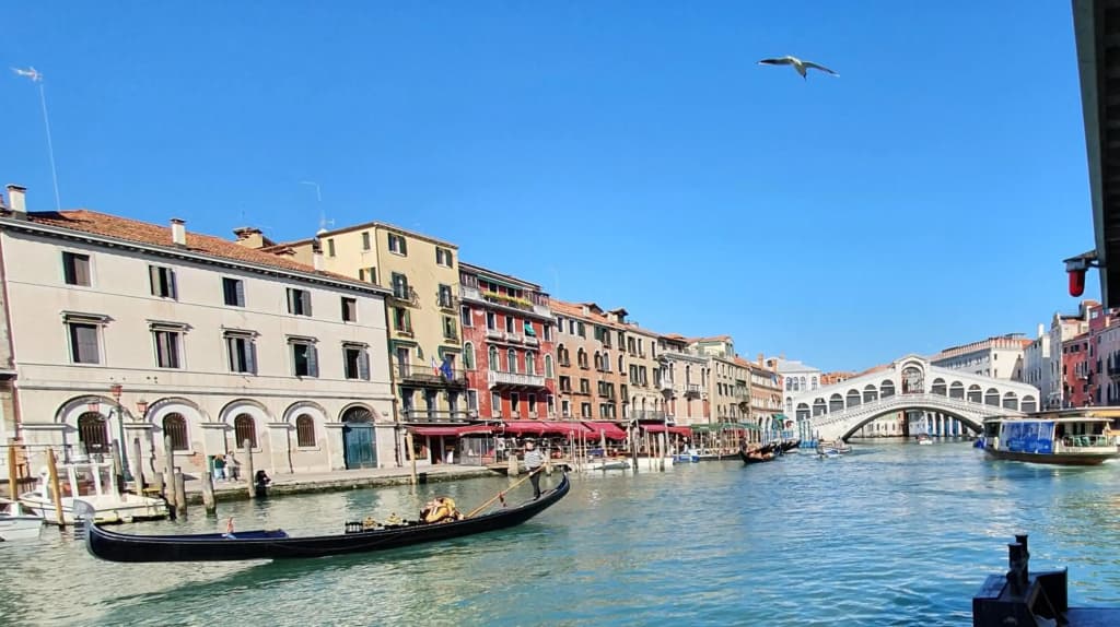 WellVenice Rialto - photo 44