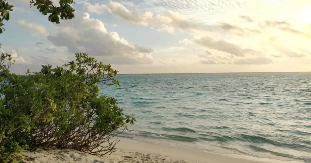 Athiriveli - photo 7
