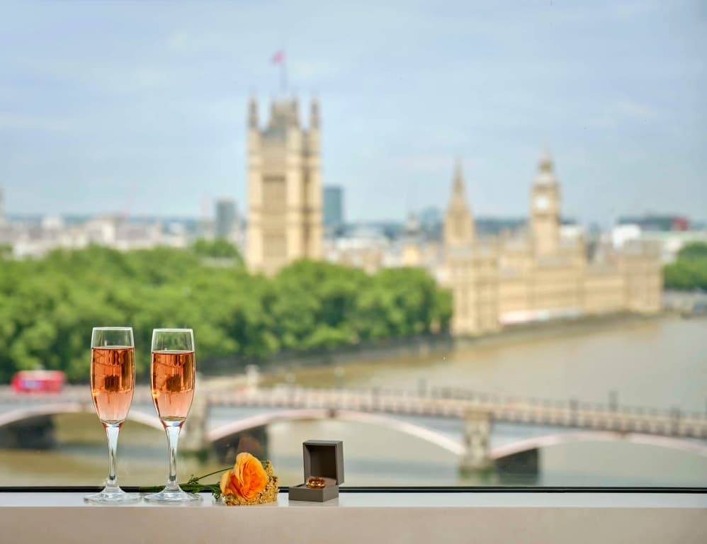 Park Plaza London Riverbank - photo 20