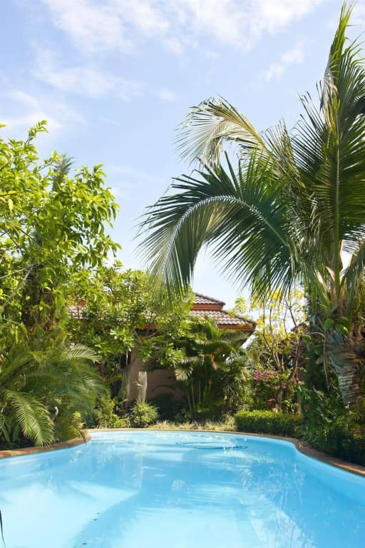Zea Za Garden - photo 12