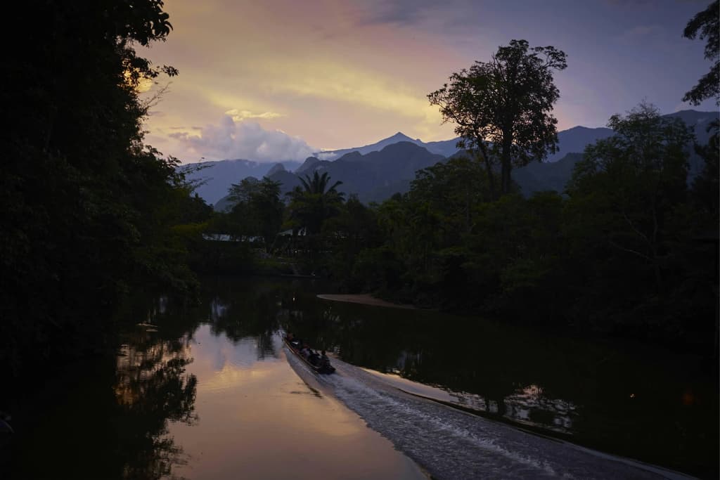 Mulu Marriott Resort - photo 24
