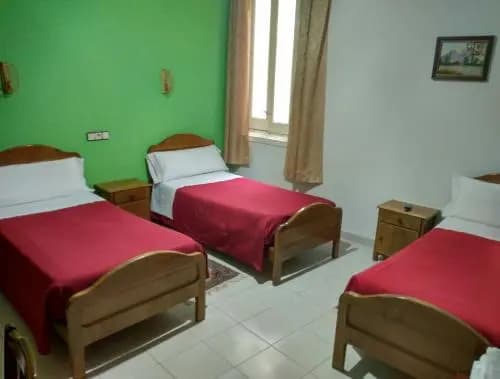 Hostal Gaudi - photo 2