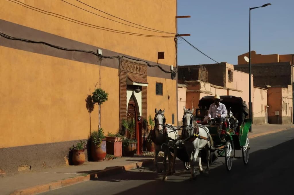Riad New Bahia - photo 18