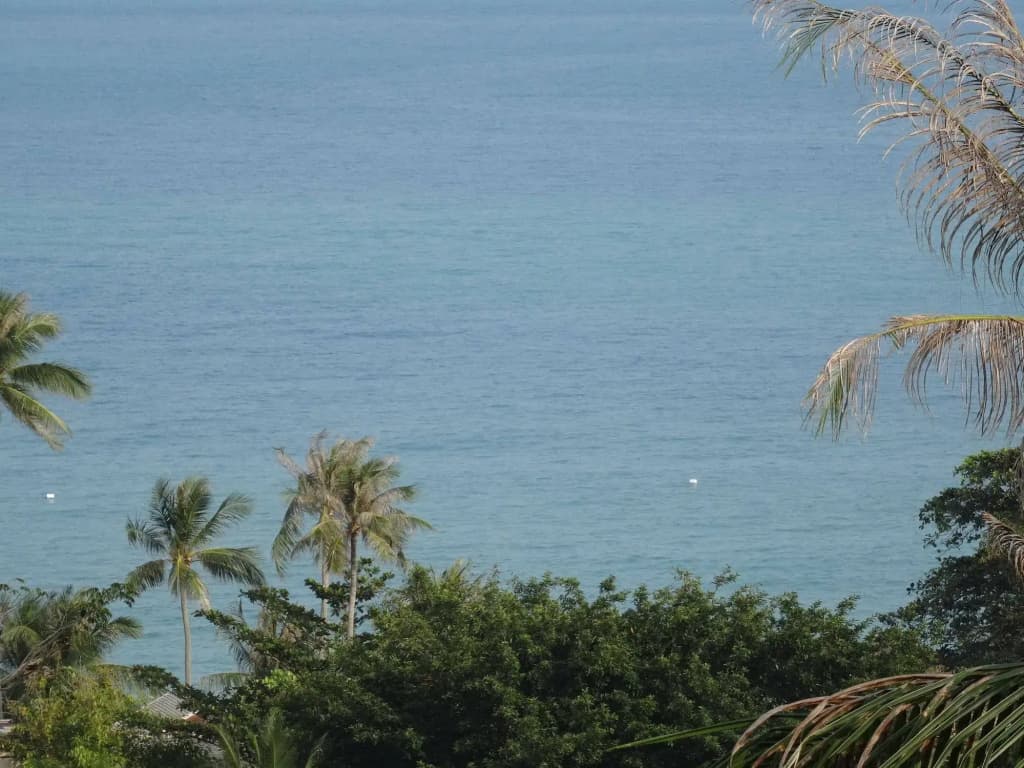 Koh Phangan Pavilions - photo 19