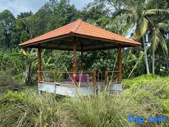 Om Garden North - photo 6