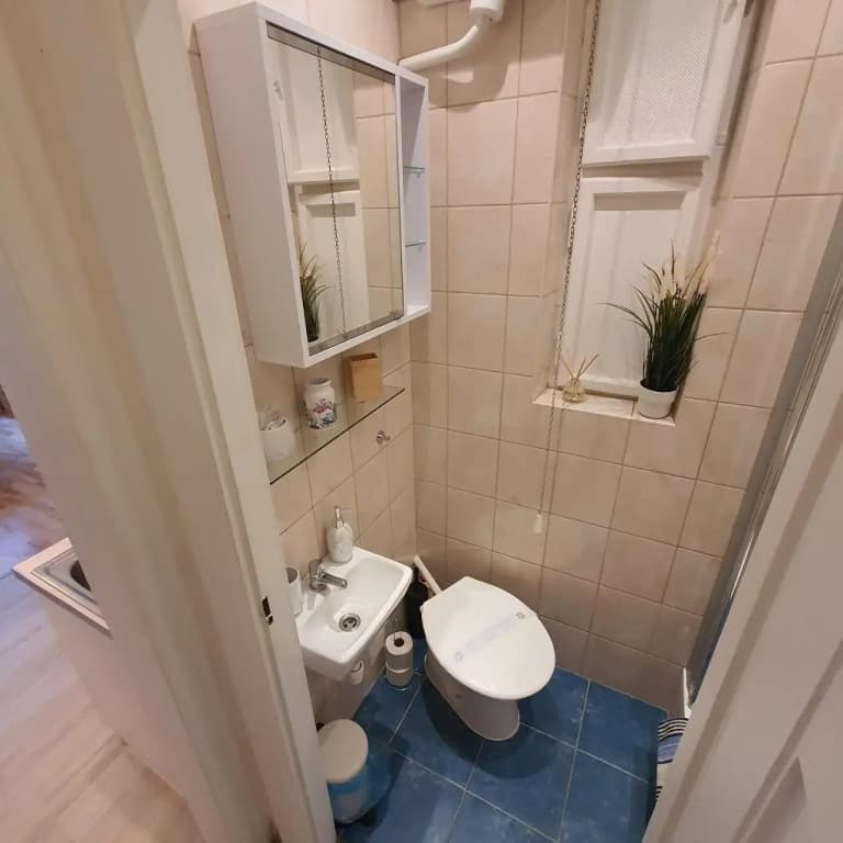 Get Prague Flat Slovenska - photo 8