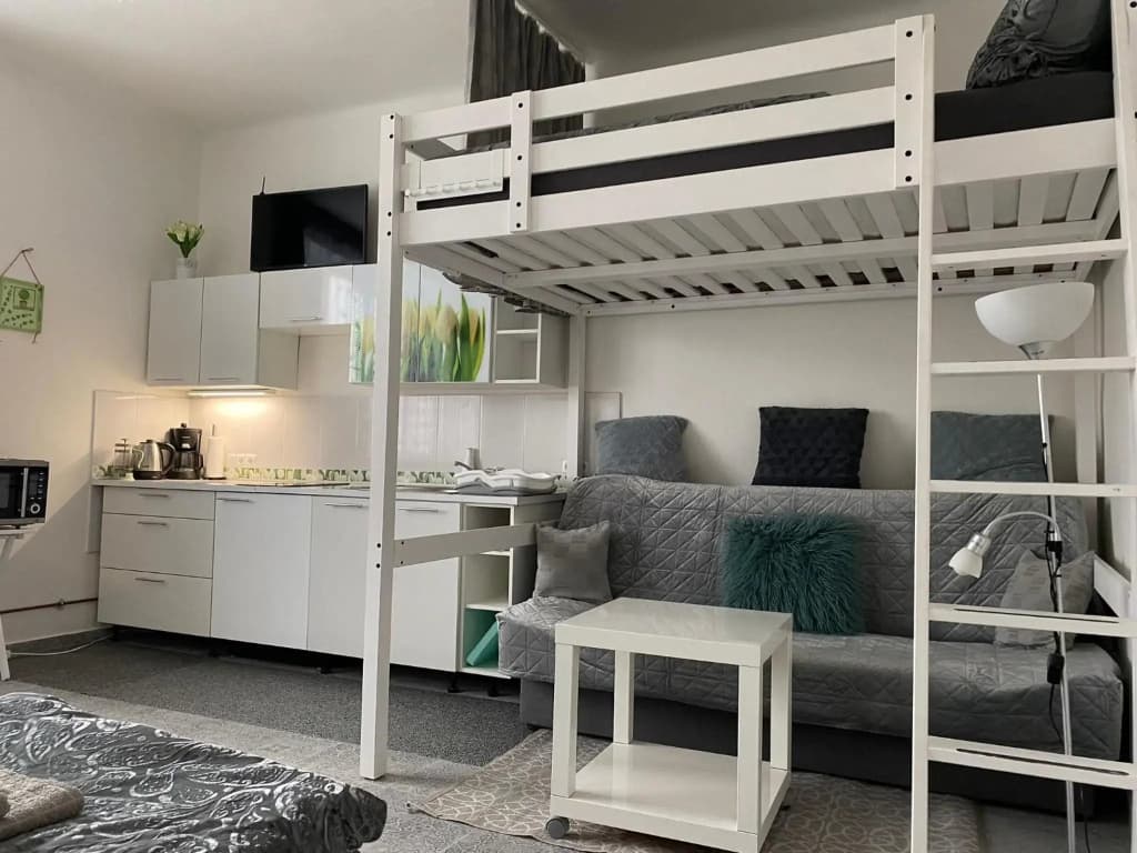 Tulip Apartment - photo 8