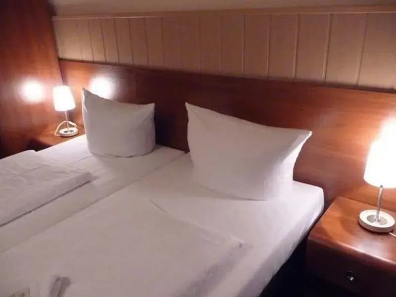 Hotel Pension Rheingold - photo 23