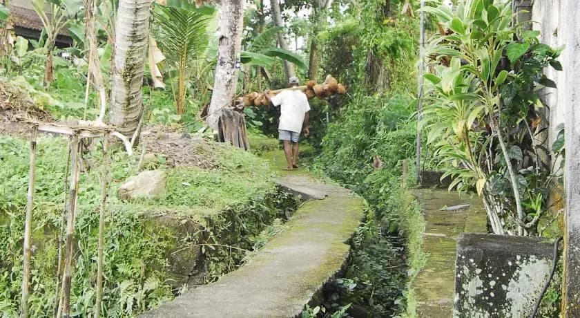 Villa Puja Ubud - photo 1