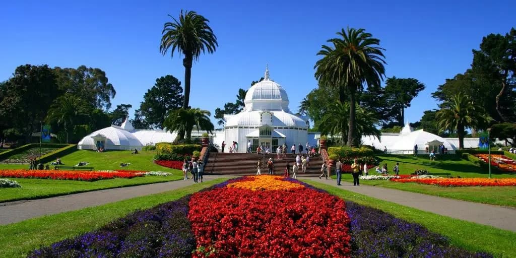 Golden Gate Park Suite - photo 2